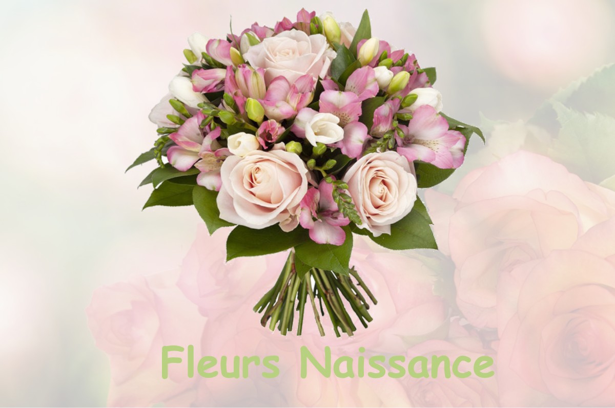 fleurs naissance LE-GUE-DE-LA-CHAINE