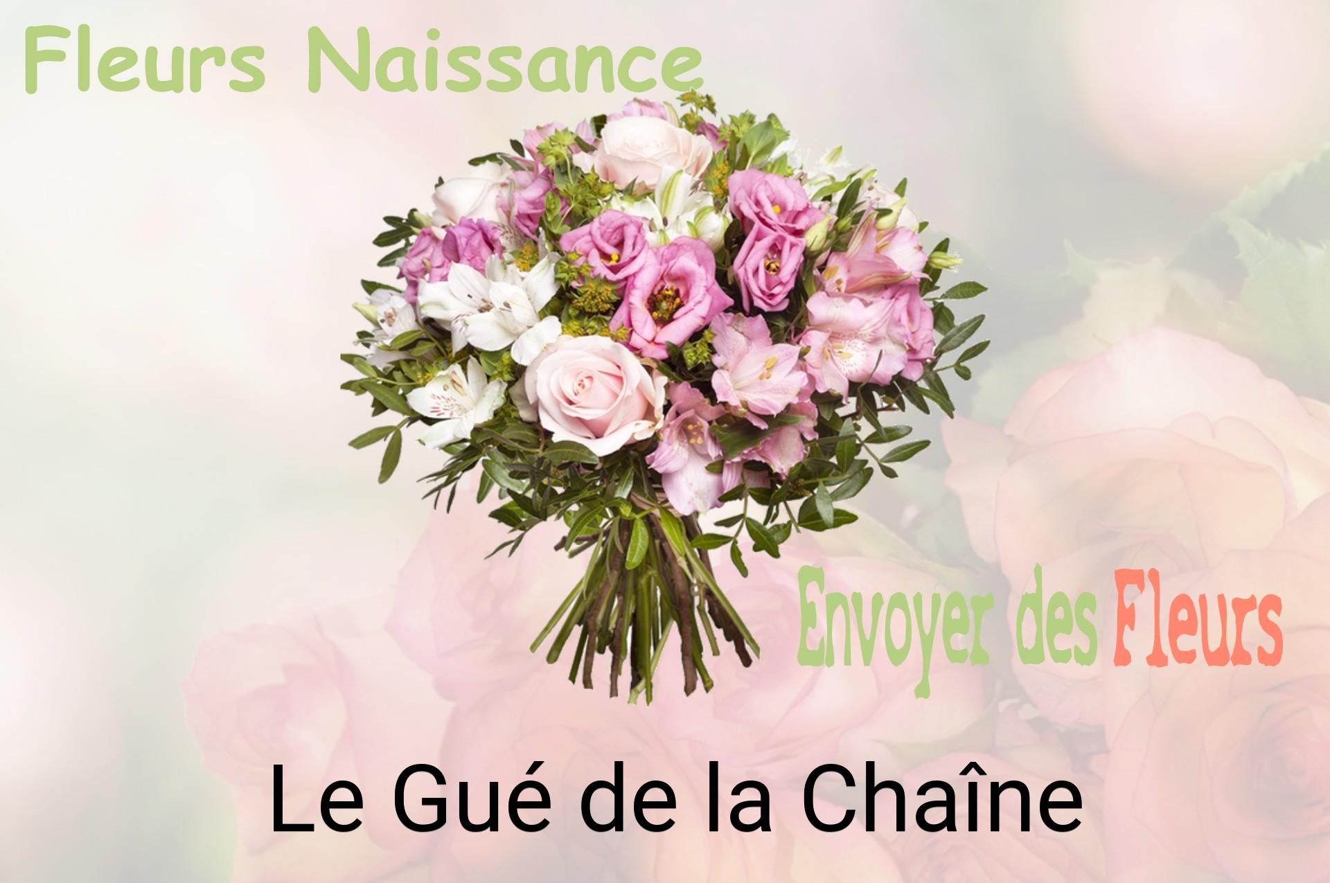 Bouquet de fleurs de naissance livré à Le Gué-de-la-Chaîne